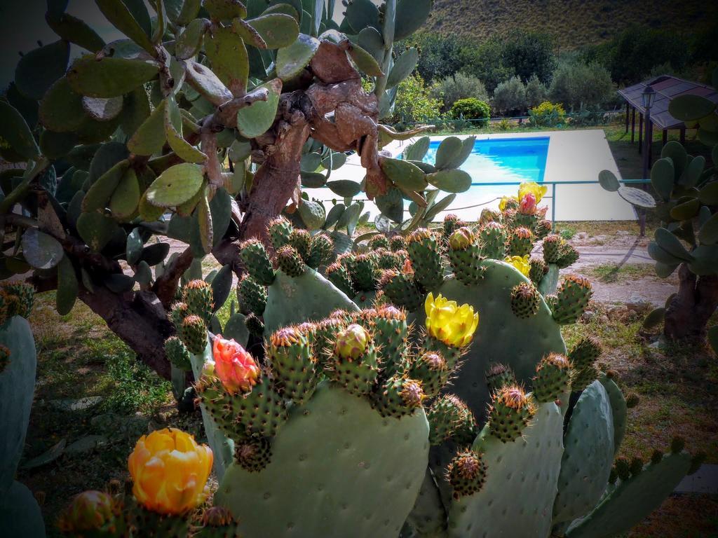 Agriturismo Timpa Del Sole Villa Noto Exterior photo
